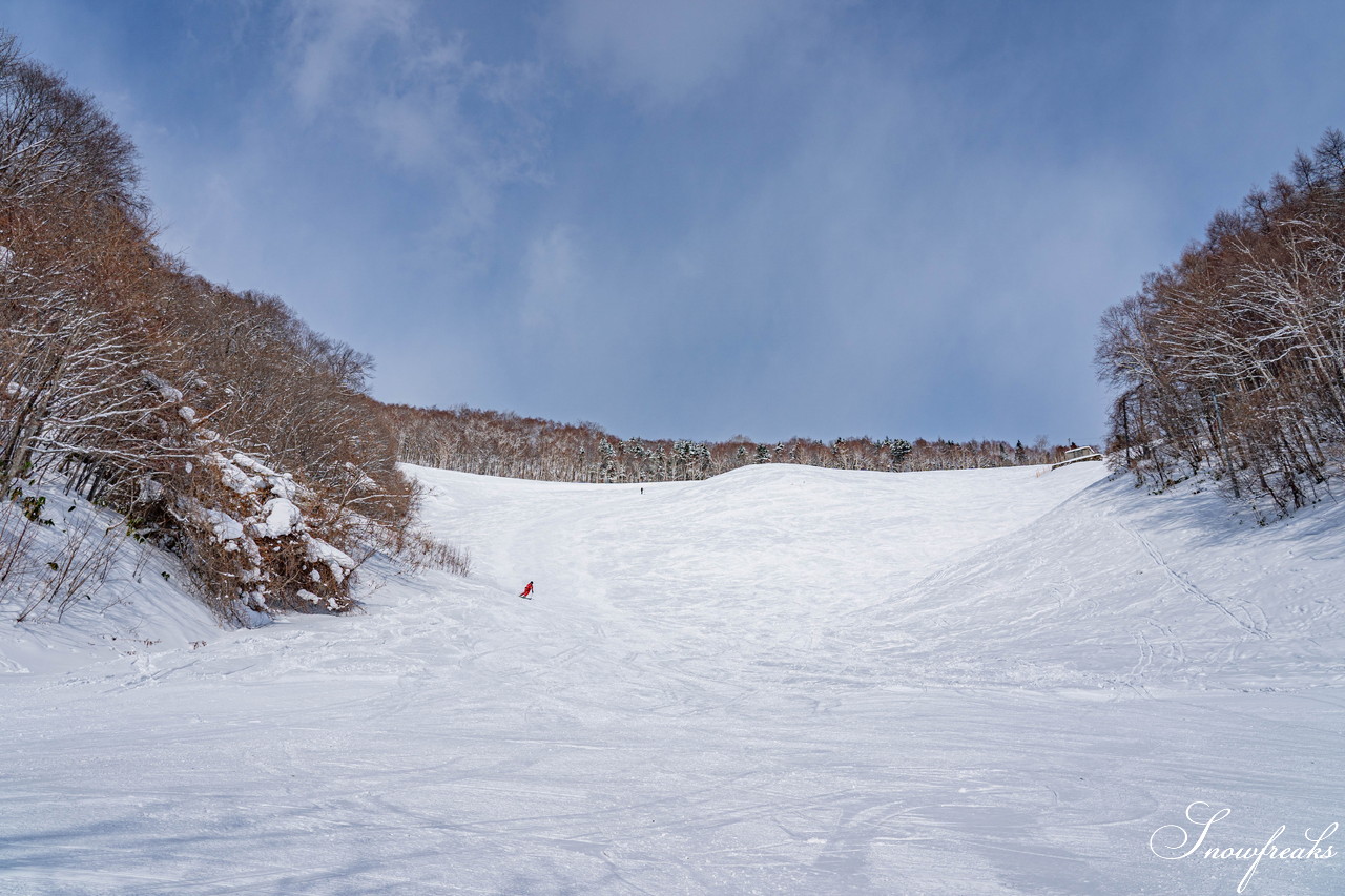 札幌藻岩山スキー場　積雪 105cm。スキーヤーだけが楽しめる！名物の急斜面『うさぎ平』＆『からまつ』両上級者コースもコンディション良好です(^^)/